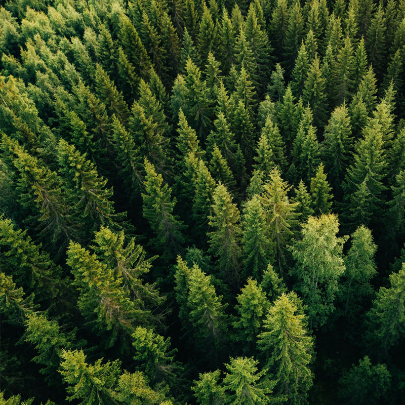 phs Besafe Goes Back to Nature